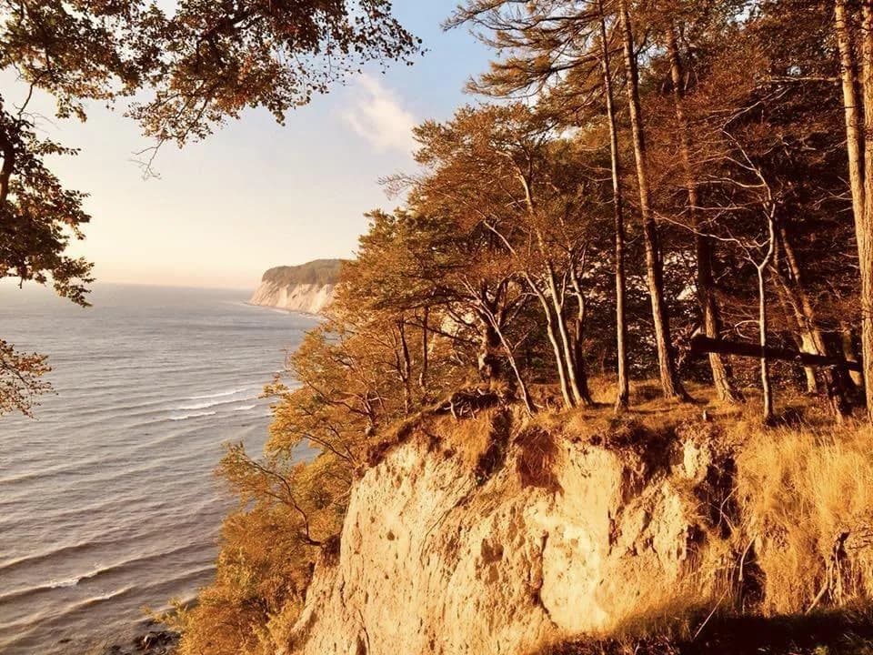 Königsstuhl & Viktoriasicht: Majestätische Kreidefelsen