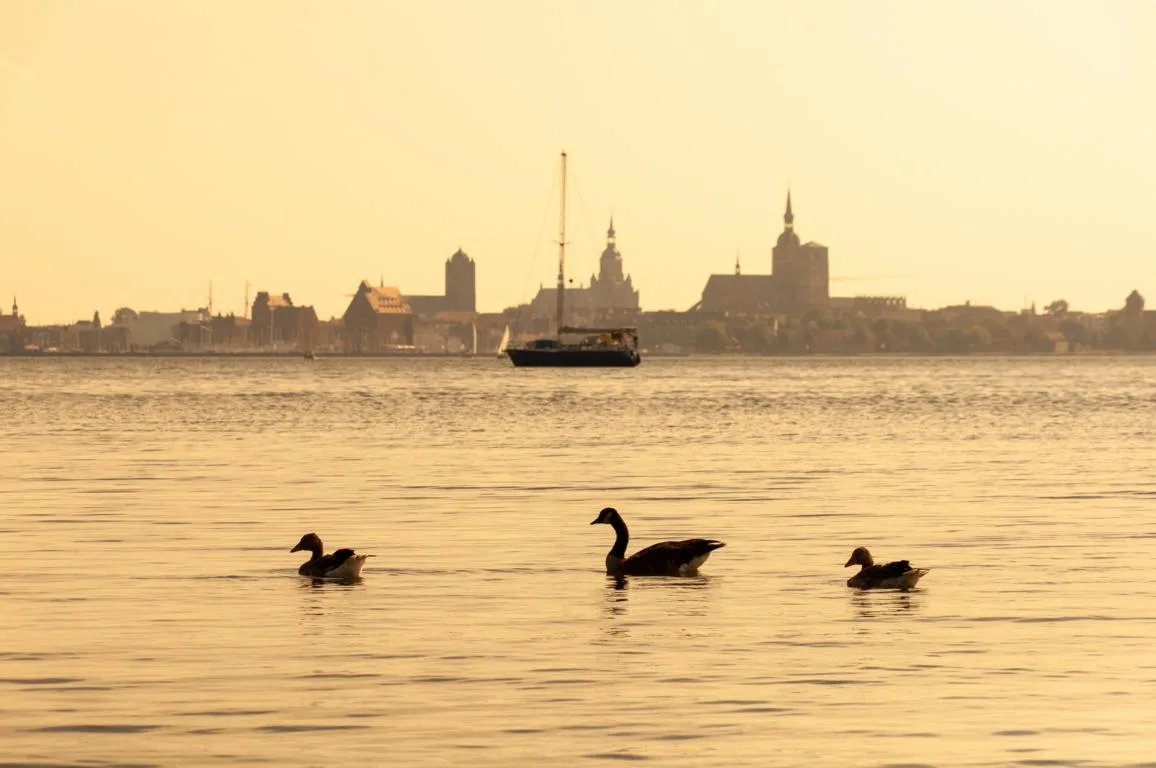 Altefähr: Der schönste Blick auf Stralsund