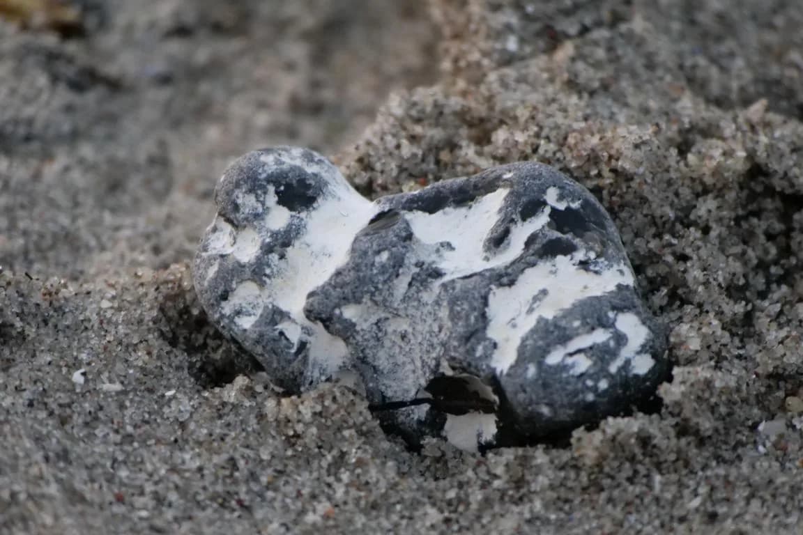 Steinmanufaktur Rügen: Schmuck aus dem Meer